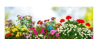 Merritt nursery photo. Merritt Nursery, Inc.