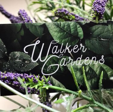 Walker gardens logo. Walker Gardens