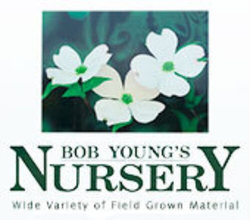 Bob Young Nursery