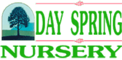 Day Spring Nursery
