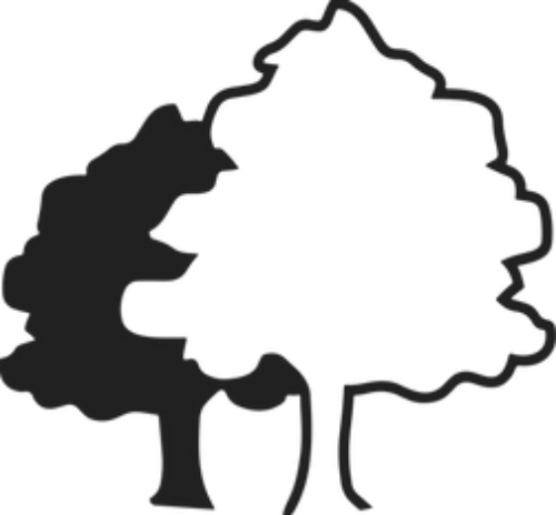 Dry Shave Mountain Nsy