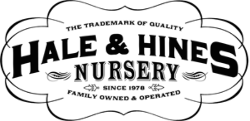 Hale & Hines Nursery Co., Inc.