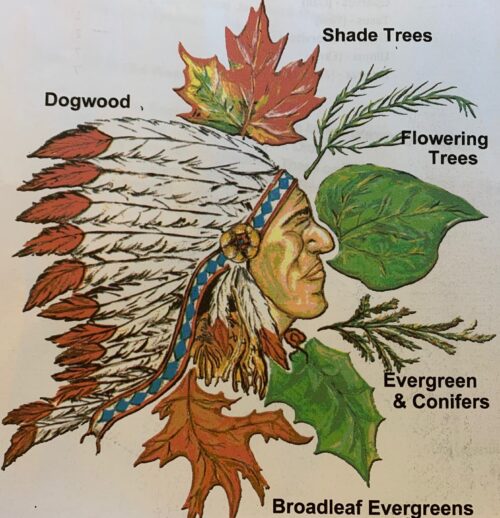 Hawkersmith & Sons Nursery, Inc