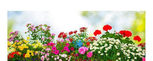 Merritt Nursery, Inc.