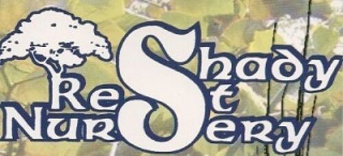 Shady Rest Nursery